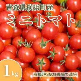 【ふるさと納税】横浜町産ミニトマト1kg