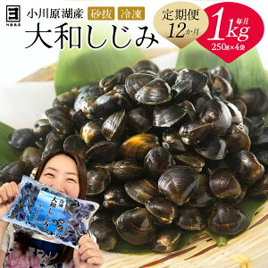【ふるさと納税】砂抜き済みで手間いらず!冷凍・小川原湖産大和しじみ ≪選べる容量・定期便≫【02408-0084〜91・30〜31・74〜75】# 大和しじみ しじみ 小川原湖 東北町 青森県 砂抜き 冷凍 対