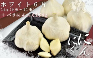 yӂ邳Ɣ[ŁzkY@zCg6Ђɂɂ@y02408-0062z#  ɂɂ X k 勛 