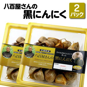 yӂ邳Ɣ[ŁzS̍ɂɂ@350g×2@y02408-0138z # ɂɂ jjN f ʉ N k X VEi  700g