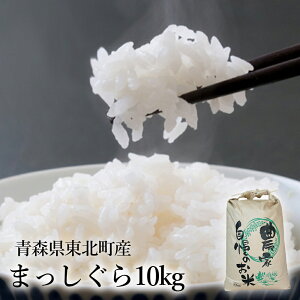 yӂ邳Ɣ[ŁzXkY@܂@10kg@[2026N1{Jn]@y02408-0178z ܂  X k ߃P_Y