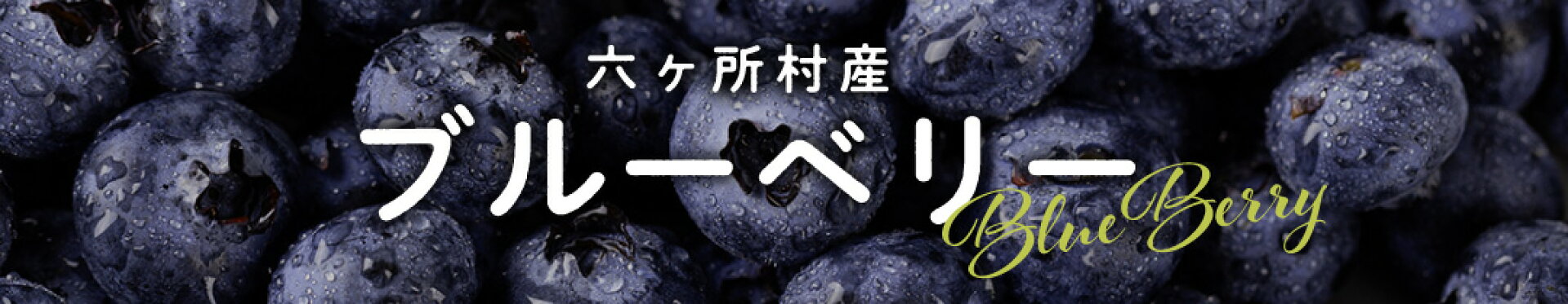 六ヶ所村産 ブルーベリー ふるさと納税 青森県 六ヶ所村