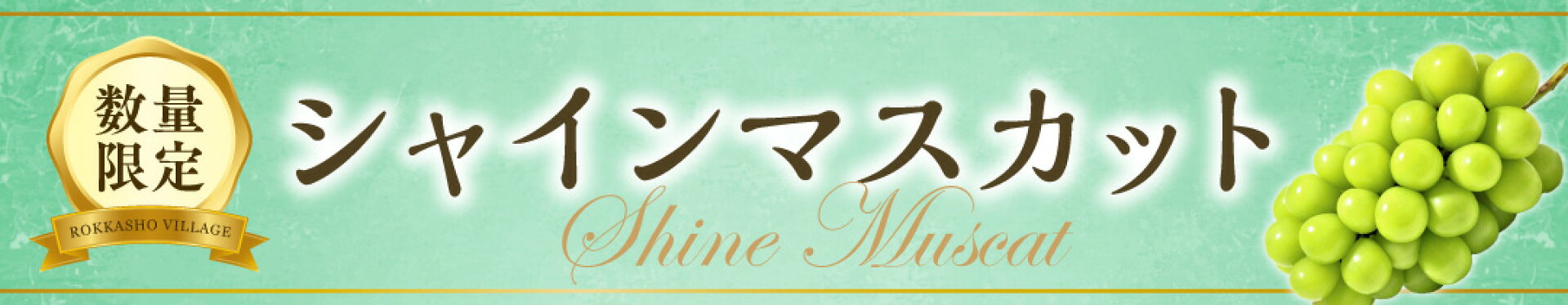 【ふるさと納税】《 先行予約 》2024年10月末〜11月上旬 発送訳ありシャインマスカット350g 4パック【石久保農産】