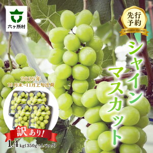 yӂ邳Ɣ[Łzs s\ ts2025N 10 ` 11{ t VC}XJbg 350g 4pbN ʕ t[c ʎ  { VN O  Mtg  Ε ӂ邳 ԗ