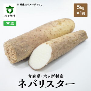 yӂ邳Ɣ[Łzss\t2025N12{`oׁ@XZY loX^[ 5kg Ƃ  a { VN O  Mtg  Ε ӂ邳 ԗi Z X