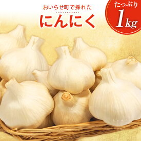 【ふるさと納税】 にんにく 青森 おいらせ町産 1kg [アグリの里おいらせ 青森県 おいらせ町 oi02ayo590000] ニンニク 国産 家庭用 普段使い