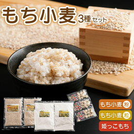 【ふるさと納税】 もち小麦 詰め合わせ セット もち姫(粒) 300g 2袋 もち姫(粉) 500g 2袋 姫っこもち 200g 3袋 [アグリの里おいらせ 青森県 おいらせ町 oi02ayo590008] 小麦 もち 餅 モチ もち麦
