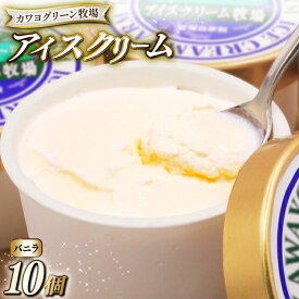 【ふるさと納税】アイス 自家製 アイスクリーム シャーベット 10個 セット [カワヨグリーン牧場 青森県 おいらせ町 oi02ayo600002] バニラ ヨーグルト バニラアイス ヨーグルトシャーベット 詰め合わせ あいす 牧場 冷凍