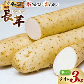 【ふるさと納税】 長芋 まほろば長芋 中サイズ 3〜4本 セット 約 3kg [柏崎青果 青森県 おいらせ町 oi02ayo620004] ながいも 長いも 3キロ とろろ