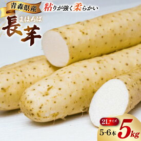 【ふるさと納税】 長芋 まほろば長芋 2L サイズ 5〜6本 約 5kg [柏崎青果 青森県 おいらせ町 oi02ayo620005] ながいも 長いも 5キロ とろろ