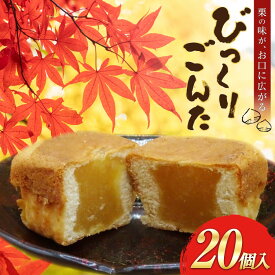 【ふるさと納税】 お菓子 びっくりごんた 20個入 [西洋菓子パン工房モンターニュお菓子のやまろく 青森県 おいらせ町 oi02ayo690000] 栗菓子 スイーツ 洋菓子 栗スイーツ 栗 くり セット