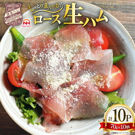【ふるさと納税】ハム ロース 生ハム 70g 10個 [日本ハムマーケティング 青森県 おいらせ町 oi02ayo820014] ロースハム セット 鎌倉ハム 富岡商会 小分け はむ 冷蔵