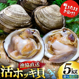 【ふるさと納税】 【期間限定発送】 ホッキ貝 5kg 選べる 発送月 [百石町漁業協同組合 青森県 おいらせ町 oi02ayo550000] ほっき貝 ブランド 奥入瀬 北寄貝 ホッキ ほっき