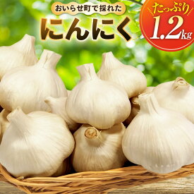 【ふるさと納税】 にんにく 青森 おいらせ町産 1.2kg [アグリの里おいらせ 青森県 おいらせ町 oi02ayo590001] ニンニク 国産 家庭用 普段使い