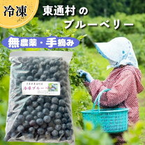 楽天市場】5kg（総重量（果物）5.00 ～ 5.99kg）（ブルーベリー 岩手県産 冷凍ブルーベリー 5kg