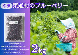 【ふるさと納税】冷凍ブルーベリー（2kg）