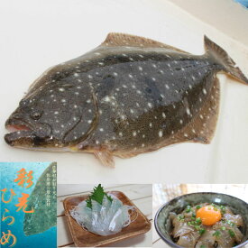 【ふるさと納税】津軽海峡産天然ひらめ「彩光ひらめ」1尾（2kg程度）