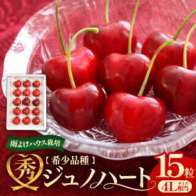 【ふるさと納税】高級さくらんぼ【ジュノハート】〜珠玉の大粒！〜【2026年産・先行予約】★2026年6月下旬頃〜7月中旬頃にかけて順次発送予定★ 青森県三戸町産 数量限定