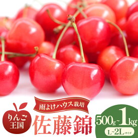 【ふるさと納税】さくらんぼ【佐藤錦】 選べる容量：約500g・1kg（L〜2Lサイズ）バラ詰め【2026年産・先行予約】★2026年6月中旬〜7月上旬頃にかけて順次発送予定★