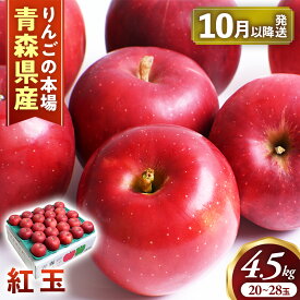 【ふるさと納税】【2026年産・先行予約】青森りんご【紅玉】約4.5kg（20〜28玉）★2026年10月中旬〜11月上旬頃まで発送予定★りんご 林檎 リンゴ 国産 紅玉 フルーツ 果物 贈答 土産 青森県 三戸町