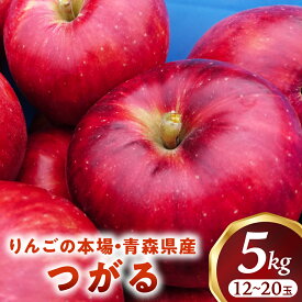 【ふるさと納税】りんご【つがる】約5kg（12〜20玉）【2025年産・先行予約】★2025年9月上旬〜9月下旬頃まで発送予定★りんご 林檎 フルーツ 果物 果実 青森 青森県 青森県産 三戸 三戸町 高級 贈答 ギフト プレゼント 産地直送 農家直送 ふるさと 送料無料