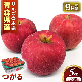 【ふるさと納税】【2026年産・先行予約】りんご【つがる】約5kg（12〜20玉）★2026年9月上旬〜9月下旬頃まで発送予定★りんご 林檎 リンゴ つがる 国産 フルーツ 果物 贈答 土産 青森県 三戸町