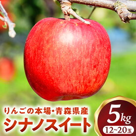 【ふるさと納税】青森りんご【シナノスイート】約5kg（12〜20玉）【2025年産・先行予約】★2025年10月中旬〜11月中旬頃まで発送予定★りんご 林檎 フルーツ 果物 果実 青森 青森県 青森県産 三戸 三戸町 ギフト プレゼント 産地直送 農家直送 ふるさと 送料無料