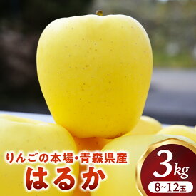【ふるさと納税】 高級りんご はるか 約3kg 8〜12玉【2025年産・先行予約 | 12月上旬〜2026年1月上旬頃まで発送予定】りんご 林檎 フルーツ 果物 果実 蜜入り 青森 青森県 青森県産 三戸 三戸町 高級 贈答 ギフト プレゼント 産地直送 農家直送 送料無料