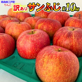 【ふるさと納税】【訳あり】青森 りんご「 サンふじ」【2025年産・先行予約】★2025年12月〜2026年1月末頃まで発送予定★容量を選べる！ 約5kg（12〜20玉）/約10kg（24〜40玉）青森県産 リンゴ 三戸町 林檎 フルーツ 農家直送 わけあり 家庭用 不揃い 傷あり