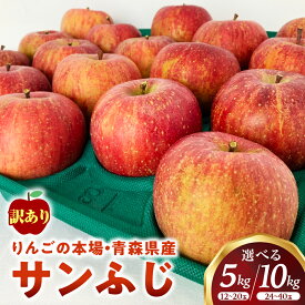 【ふるさと納税】【訳あり】青森 りんご「 サンふじ」【2025年産・先行予約】★2025年12月〜2026年1月末頃まで発送予定★容量を選べる! 約5kg(12〜20玉)/約10kg(24〜40玉)青森県産 リンゴ 三戸町 林檎 フルーツ 農家直送 わけあり 家庭用 不揃い 傷あり