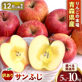 【ふるさと納税】★先行予約★【訳あり】青森 りんご「サンふじ」【2026年産】★2026年12月〜2027年2月頃まで発送予定★容量を選べる！ 約5kg（12〜20玉）/約10kg（24〜40玉）青森県産 リンゴ 三戸町 林檎 フルーツ 農家直送 わけあり 家庭用 不揃い 傷あり