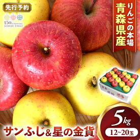 【ふるさと納税】【2026年産・先行予約】青森りんご【サンふじ＆星の金貨】セット 約5kg（12〜20玉）★2026年11月中旬〜12月中旬頃まで発送予定★りんご 林檎 リンゴ 果物 フルーツ 国産 贈答 土産 青森県 三戸町 H2832