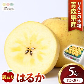 【ふるさと納税】高級りんご 訳あり はるか 約5kg 12〜20玉【2025年産 | 2025年12月上旬〜2026年1月上旬頃まで発送予定】りんご 林檎 リンゴ 訳あり はるか 国産 フルーツ 果物 希少 青森県 三戸町 H3022