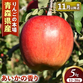 【ふるさと納税】【先行予約】青森りんご【あいかの香り】約5kg（12〜20玉）【2026年産】★2026年11月中旬〜1月上旬頃まで発送予定★りんご 林檎 リンゴ 国産 あいかの香り 大玉 フルーツ 果物 贈答 土産 青森県 三戸町