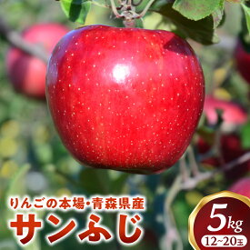 【ふるさと納税】人気No.1 青森りんご【サンふじ】約5kg（12〜20玉）【2025年産・先行予約】★2025年11月下旬頃より順次発送予定★ りんご 林檎 フルーツ 果物 果実 青森 青森県 青森県産 三戸 三戸町 ギフト プレゼント 産地直送 農家直送 ふるさと 送料無料