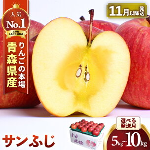 ★先行予約★ 人気No.1 青森りんご サンふじ【2026...