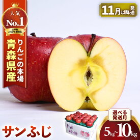【ふるさと納税】★先行予約★ 人気No.1 青森りんご サンふじ【2026年産】 選べる発送月　選べる容量　約5kg ～ 10kg★2026年11月下旬～2027年2月頃まで発送予定★ りんご 林檎 フルーツ 果物 果実 青森 青森県産 三戸 産地直送 農家直送 送料無料 青森県三戸町