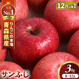 【ふるさと納税】★先行予約★人気No.1 青森りんご サンふじ 8〜12玉 約3kg【2026年産 | 12月上旬〜2027年1月中旬頃までに順次発送予定】 りんご 林檎 フルーツ 果物 果実 青森県産 三戸 三戸町 高級 贈答 ギフト プレゼント 産地直送 農家直送 青森県三戸町
