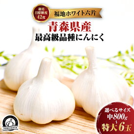 【ふるさと納税】【2025年産】にんにくのよしだ家 青森県産にんにく 中/大/特大 サイズを選べる 福地ホワイト種 高品質 大蒜 ニンニク ガーリック 国産 薬味 スタミナ 野菜 おすすめ 送料無料 野菜 健康食品 免疫力向上 滋養強壮 にんにく 青森県 三戸町 R0407
