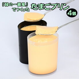 【ふるさと納税】緑の一番星でつくった 手作りたまごプリン （4個入り/8個入り）【卵卵ひろば】