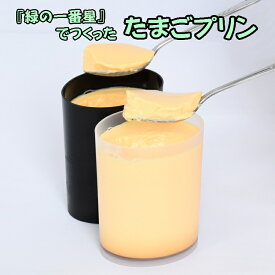 【ふるさと納税】緑の一番星でつくった 手作りたまごプリン （4個入り/8個入り）【卵卵ひろば】