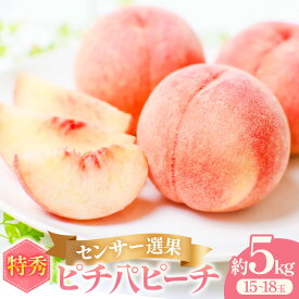 【ふるさと納税】【2026年発送分・先行予約】桃 約5kg (15〜18玉) 「ぴちパ　ピーチ」 桃 もも モモ あかつき まどか 川中島 ピーチ デザート フルーツ 果物 くだもの 果実 香り 甘い 新鮮 果樹 ジューシー 果実 みずみずしい 季節のフルーツ 青森県 三戸町 AS-25-004