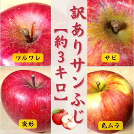 【ふるさと納税】サンふじリンゴ家庭用訳ありセット【配送不可地域：離島・沖縄県・中国・四国・九州】【G1122681】