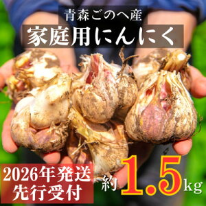 yӂ邳Ɣ[Łzys\:2026N7蔭zX̂֒Yɂɂ@ƒpytLTCYȏ 1.5kgyzsnFEꌧzy1317794z