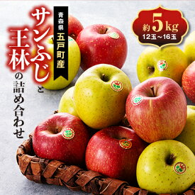 【ふるさと納税】五戸のサンふじと王林の詰め合わせ 約5kg【配送不可地域：離島・沖縄県・九州】【1358683】