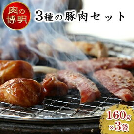 【ふるさと納税】【ヤキニクストック】3種の豚肉セット 160g×3袋【肉の博明】【焼肉セット】【国産】　 お肉 豚肉 焼肉 バーベキュー 肉の加工品 塩 サガリ ネギ塩 カルビ ストック おかず 味付け肉