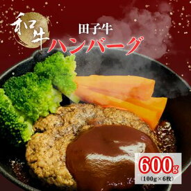 【ふるさと納税】田子牛 ハンバーグ約100g×6枚　お肉・ハンバーグ