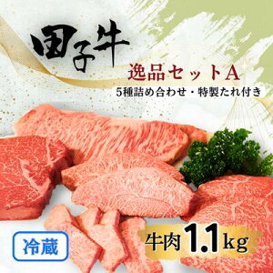 yӂ邳Ɣ[Łz̓cq iZbgA/1.1kg i^tj@   q q  I ŏ㋉  M ɏ r[t  ߍׂ TV ㎿  i `  