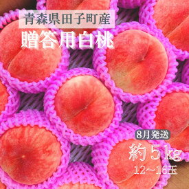 【ふるさと納税】【贈答用】 田子町産白桃 約5kg（12〜16玉） 8月出荷　果物　もも　桃　フルーツ　出荷開始：8月中旬～9月上旬まで