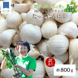 【ふるさと納税】【訳あり】田子（たっこ）バラにんにく約800g（青森県田子町産にんにく中～大粒)） 薬味　出荷開始時期：9月1日〜3月31日